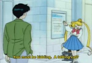 Considering how often Usagi and Luna have shouting matches in the street, it's a surprise this doesn't happen more often