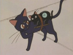 "We need to get the clock to Ami for this scene" "Just, uh, just strap it to Luna or something" "BRILLIANT" "No I was jo-" "I said, BRILLIANT"