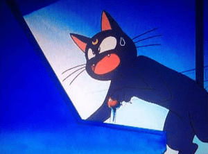 "YOU DEAD WHITE BOY"