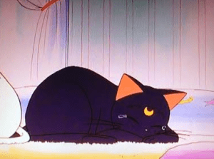 Aww. A decent way as any to get rid of the cats for an episode