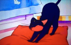 "Yaaaaawn time to impose some unrealistic standards on to a 14 year old girl."