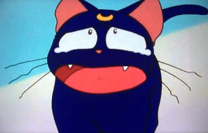 They've perfected the "long suffering" expression