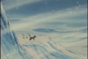 "...still warmer than Michigan."