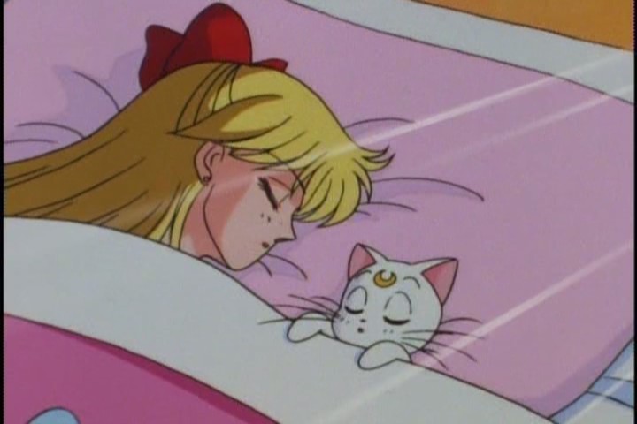 Not sure it's OK to sleep with a male cat who speaks English. Seems like... living in sin