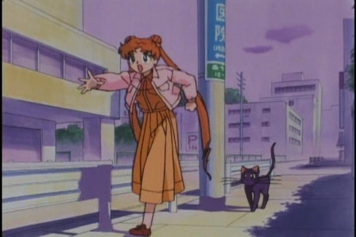Apparently telling Mamoru that there might be danger ahead just kills his brains cells
