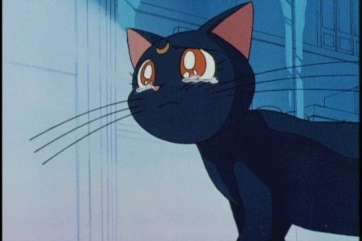 "Go save Sailor Moon or I'll scratch your balls."