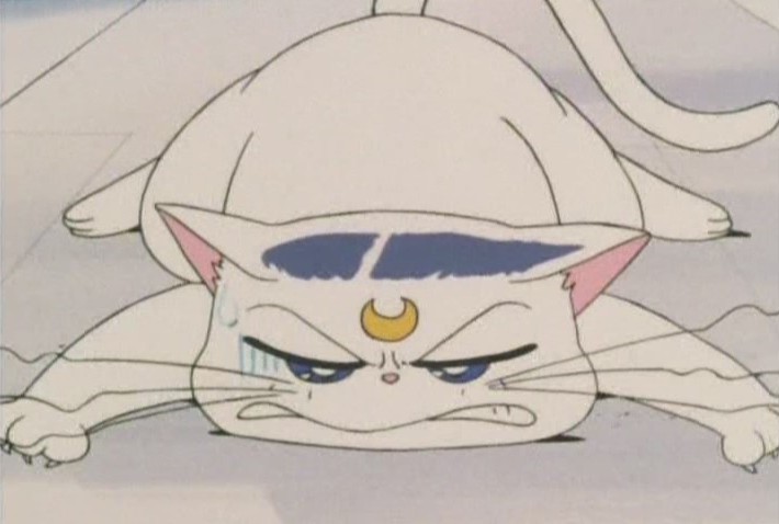 With all that white fur, that will probably stain bro