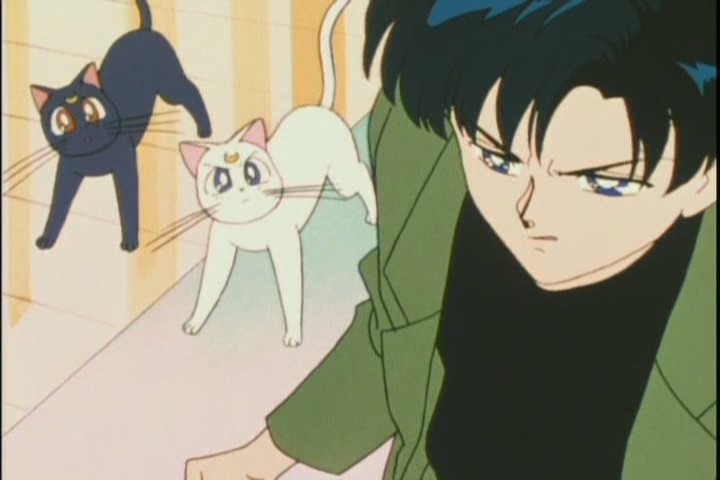 "Something tells me that theyre ALMOST like the SAME PERSON like the SHARE half their GENETICS."