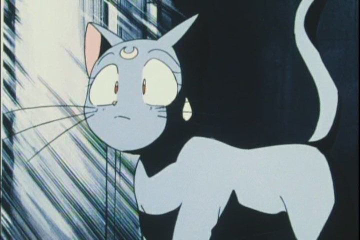 I love this shot too. I like seeing Luna disconcerted