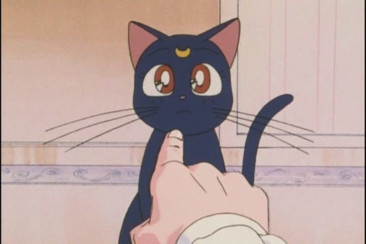 "Its YOUR FAULT even though I stepped on his head and almost killed him earlier"