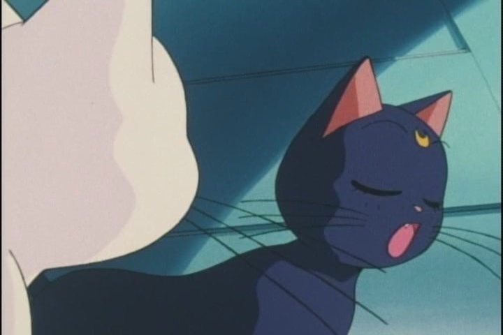 "Yeah I guess Im sorry or whatever. Hey, it smells like ass in here."