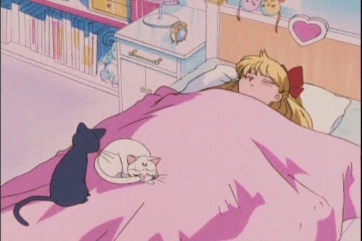 Not sure that doesnt make him an idiot, Luna