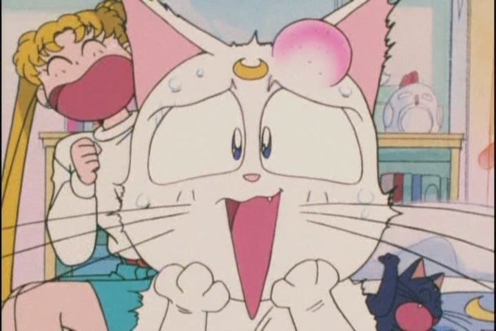 Its karma, fluffball