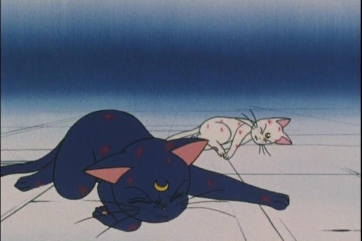 "Yeah I knew that would happen, I just wanted to have an excuse not to come with you."