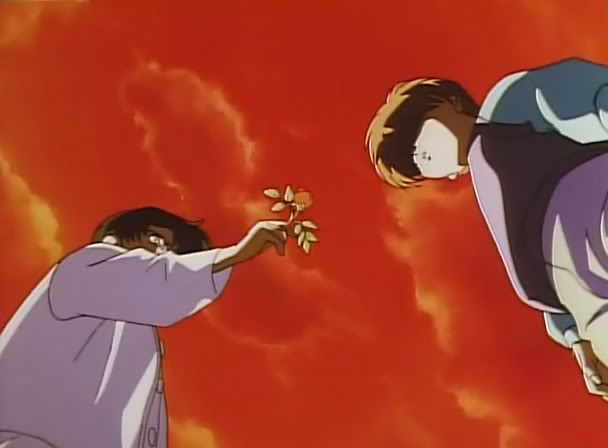 "Please take my flower." "I uh... what?" "TAKE IT."