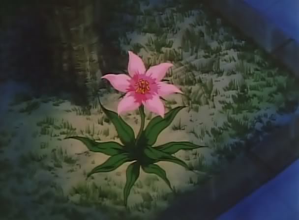 It's true evilness is against asthetics