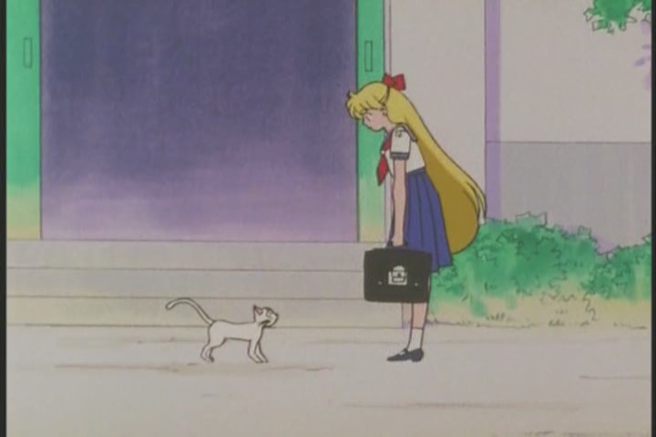 "Actually I was just trying to distract you since you were yelling at random strangers on the street again."