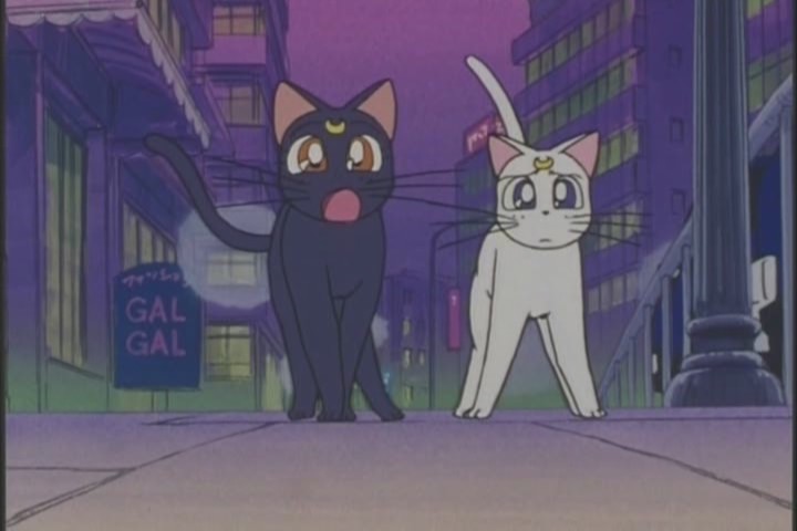 "OH MY GOD Ami have obvious gotten into DRUGS or something"