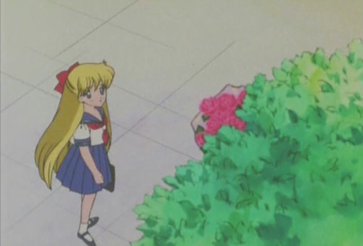 Minako sees flowers in the tree