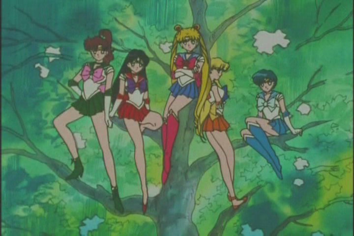 While you were climbing that tree and posing, 14 people died