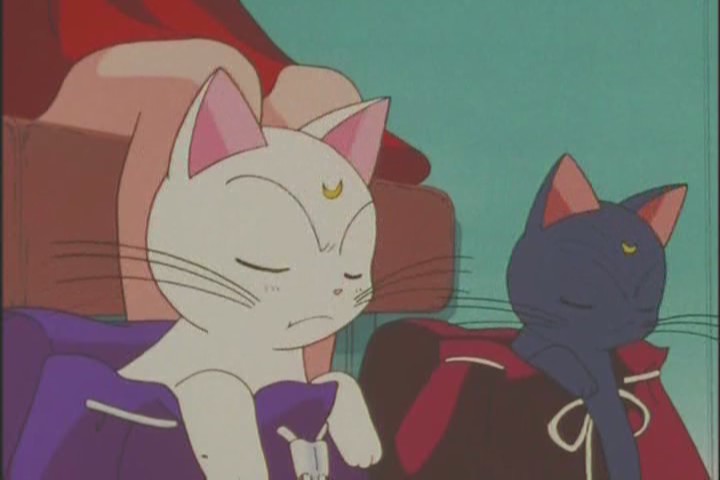 "We demand the respect we deserve. More nibbles, please."