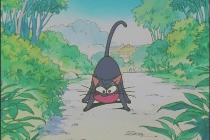 "YOU'RE A FUCKING PRINCESS STUCK IN A BUSH. I quit."