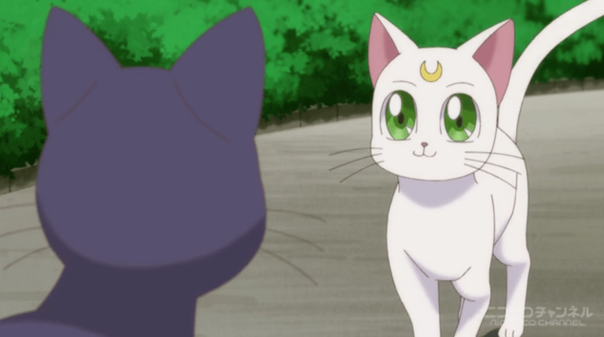 Sailor Moon Crystal - Artemis talking to Luna