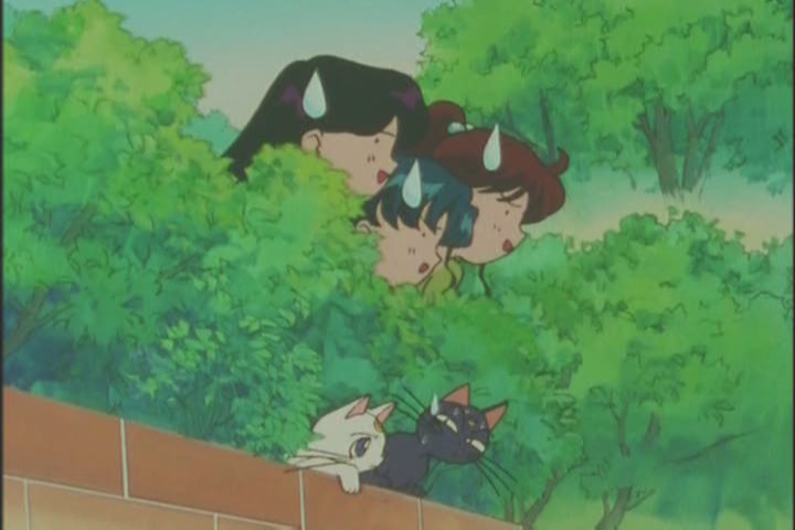 "She's... pure something."