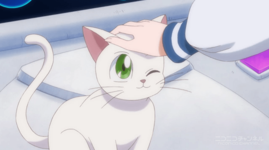 That's pretty adorable though. Almost looks normal with his eyes closed!