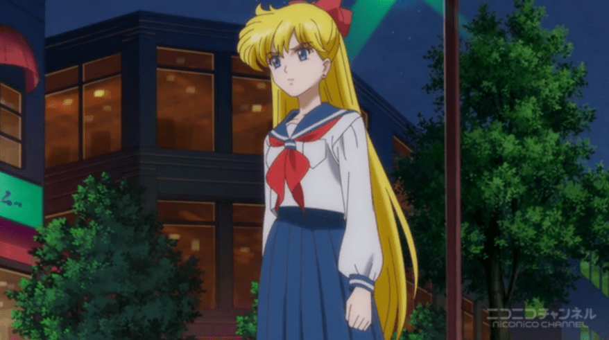 "Yeah I think I hate those guys. That Usagi kept staring at my face and blushing."