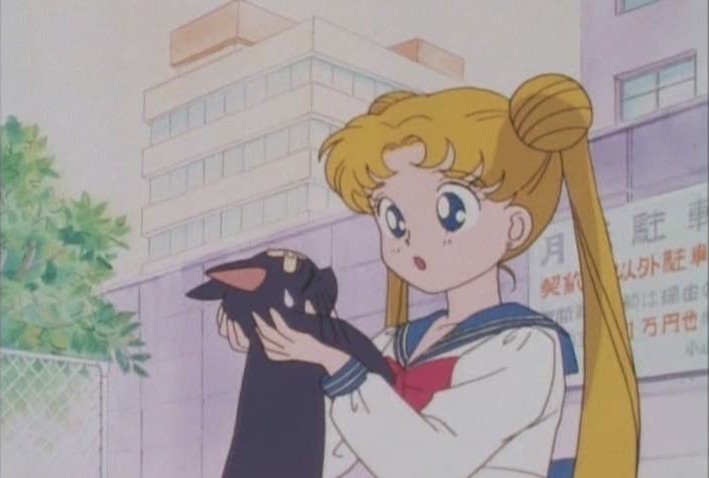 Usagi lifts up Luna