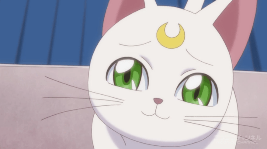 WAHH holy CRIPES that ALSO scared the crap outa me