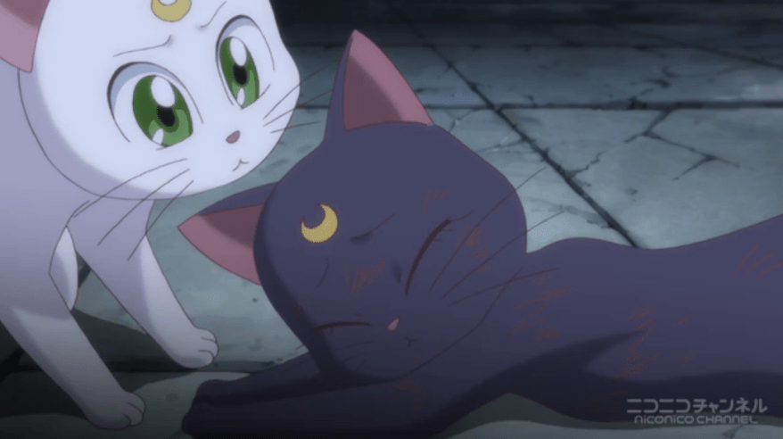 She's just been severely wounded and his expression is "Ehh, it happens."