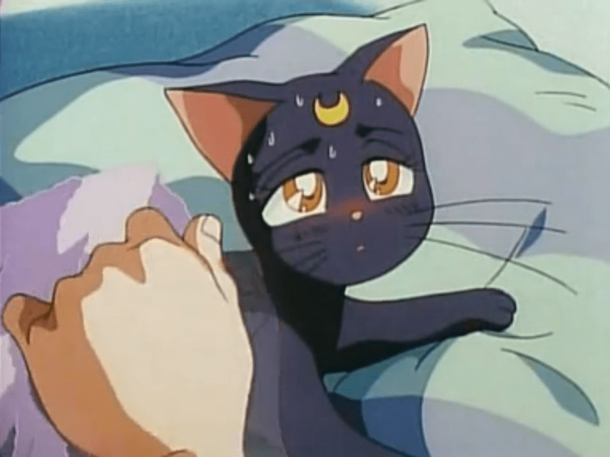 "I don't know if it's true love or delirium from fever but you're so  hot right now."