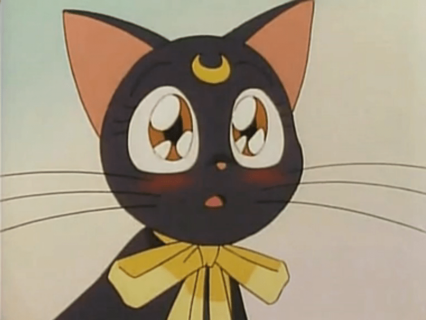 "And THEN what do you do to him while he's unconscious?"