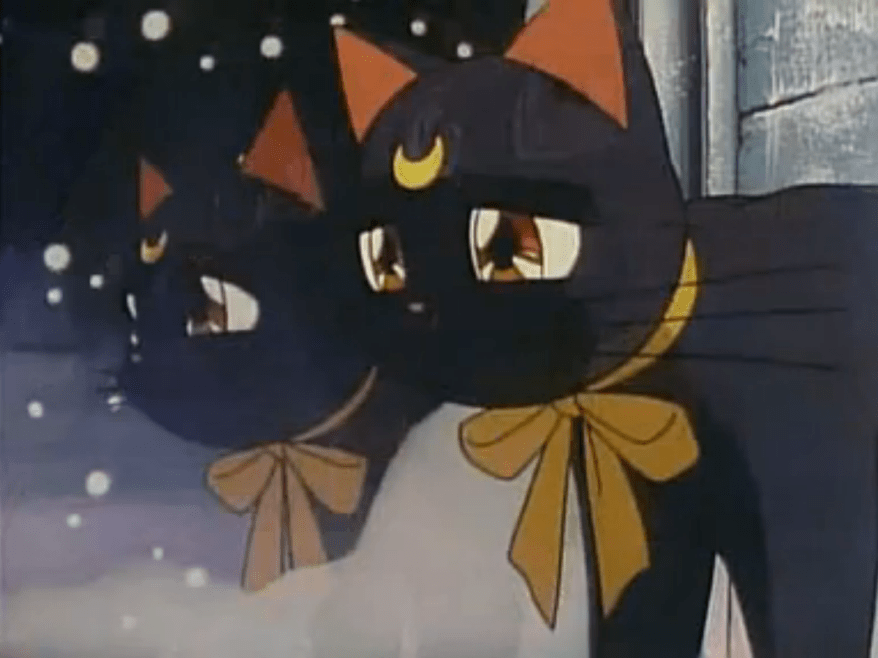 "A virus... a computer... virus..."