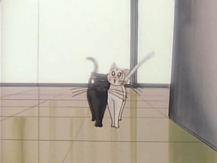 "EVERYTHING'S COMING UP MILHOUSE"