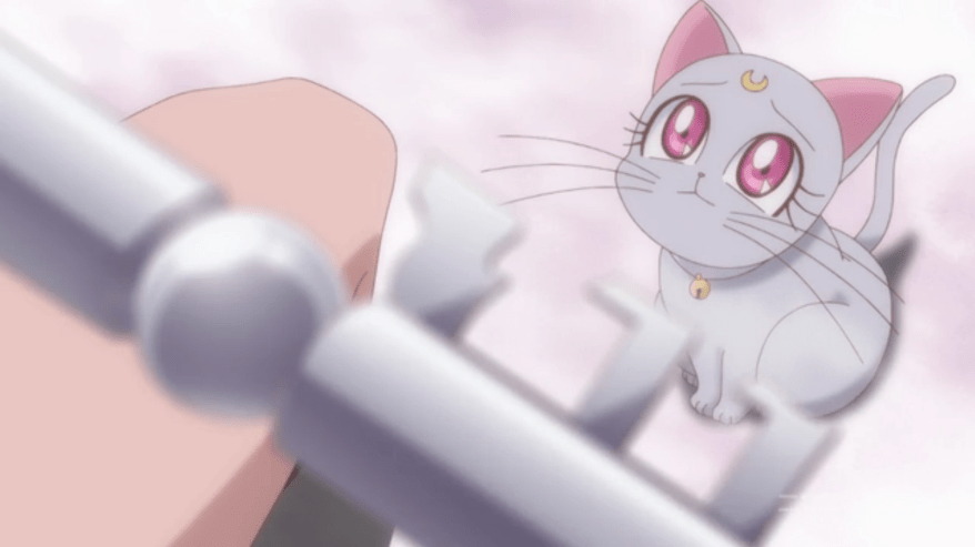 "Hrmm leaving one of the most important jobs in the universe to a kitten. Well I'm probably going to get fired anyway, so..."