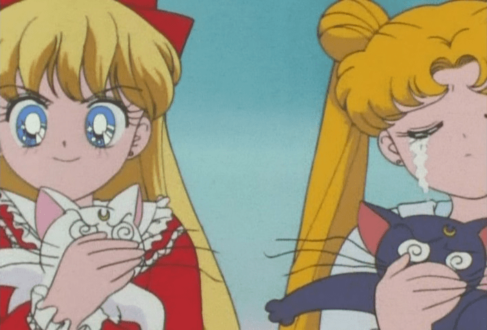 You'd think that the cats would have learnt not to talk in front of strangers anyway