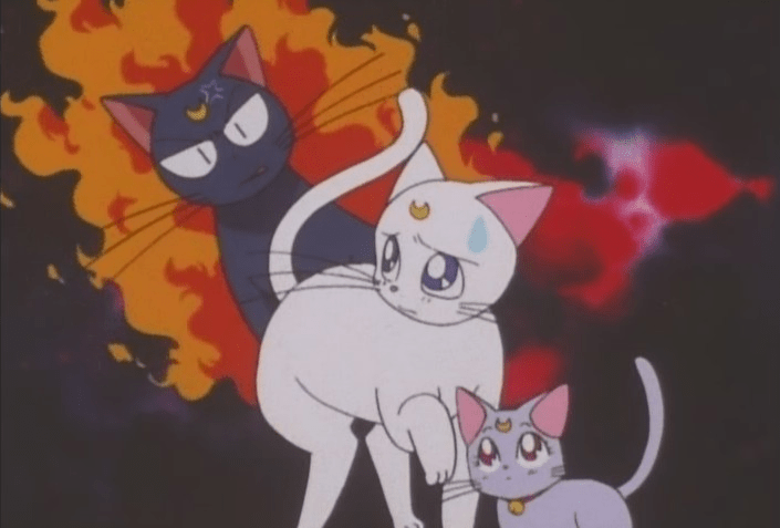 "Dear /r you'll never believe what happened to me today..."