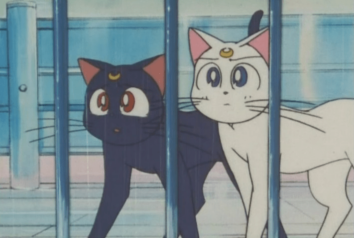 "Well... if we never have Diana in the future then our crime will never have happened. Go buy some cat-sized condoms."